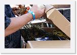 Lobster_Festival (5) * Der begehrte Lobster wurde aus der Verpackung geholt * 2896 x 1936 * (1.81MB)